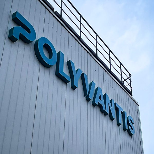 quehl_3d_buchstaben_polyvantis_worms